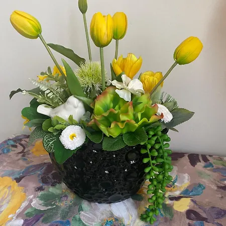 דירה Nasze Kamienice Kameralny *