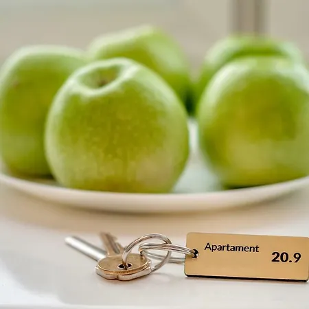 Nasze Kamienice Kameralny Apartament Rzeszów