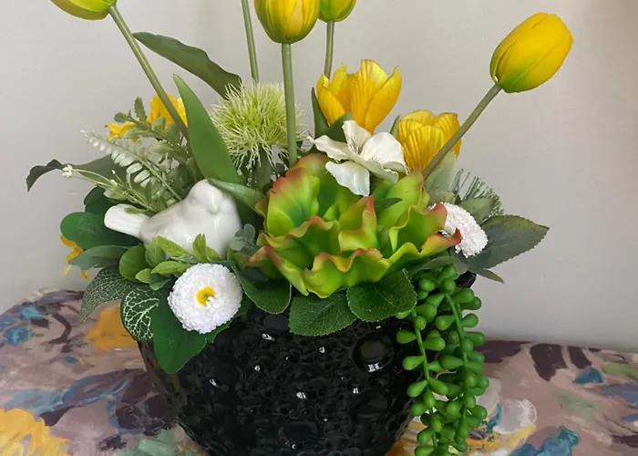 Appartement Nasze Kamienice Kameralny *